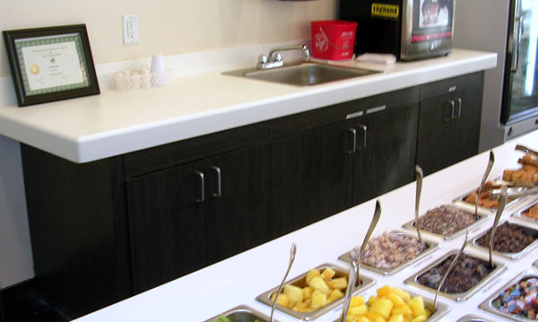 Yogurtology back cabinet