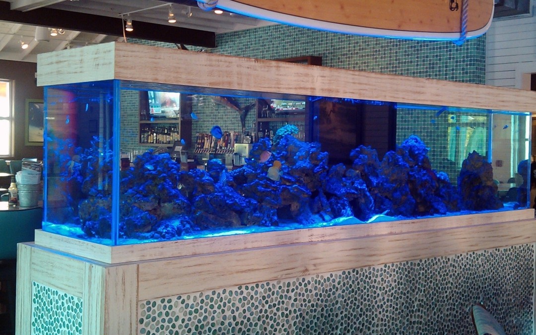 Fish tank equipment cabinet